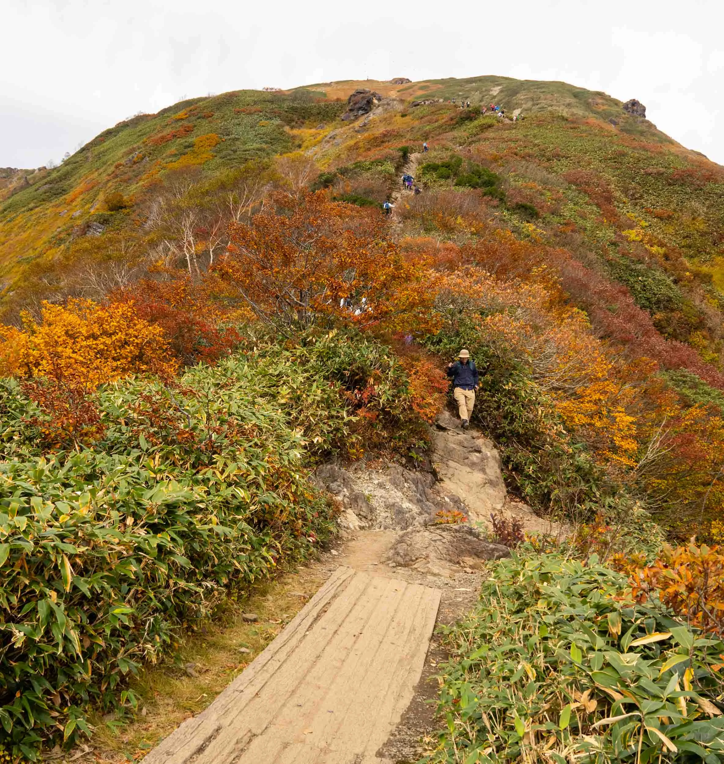 tanigawa autumn climb above treeline