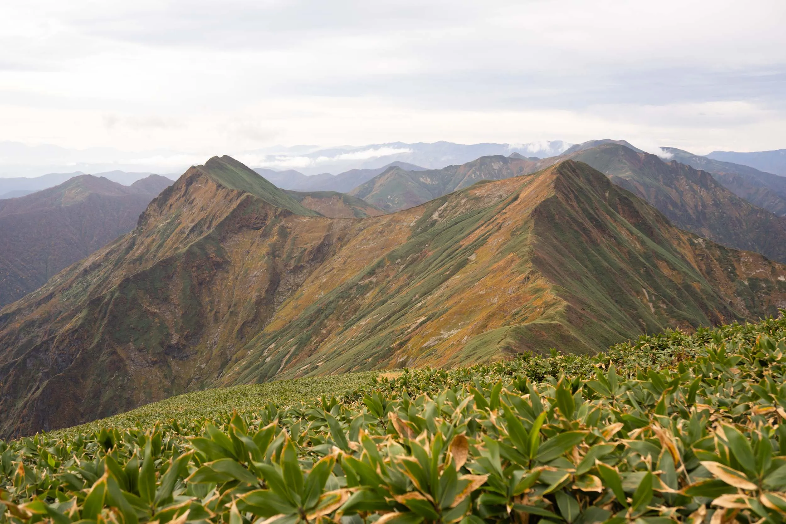 tanigawa autumn twin peaks and ridges